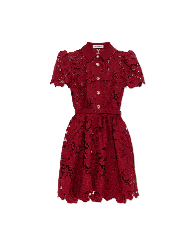 Burgundy Lace Collared Mini Dress
