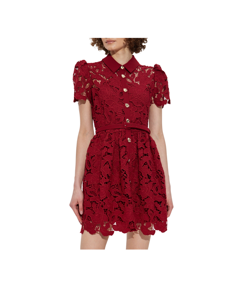 Burgundy Lace Collared Mini Dress
