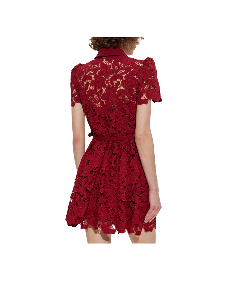 Burgundy Lace Collared Mini Dress
