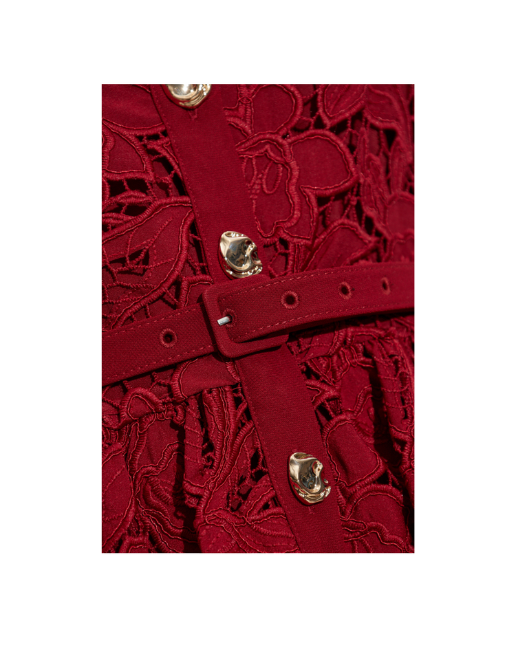 Burgundy Lace Collared Mini Dress