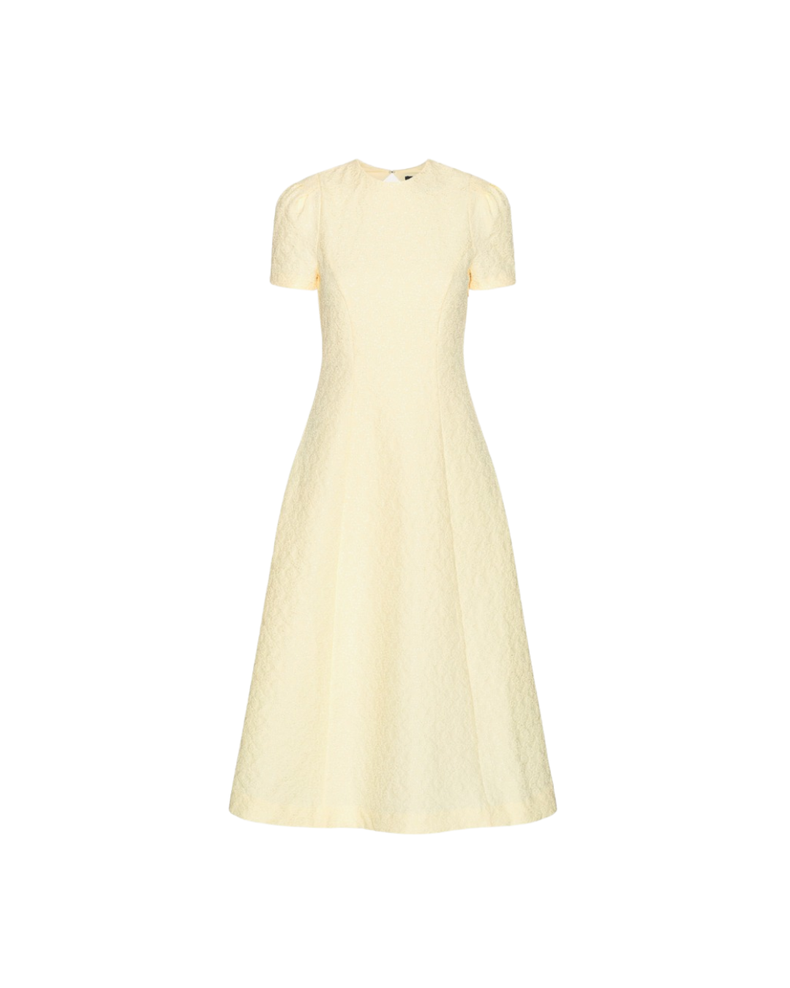 Jacquard Flared Dress