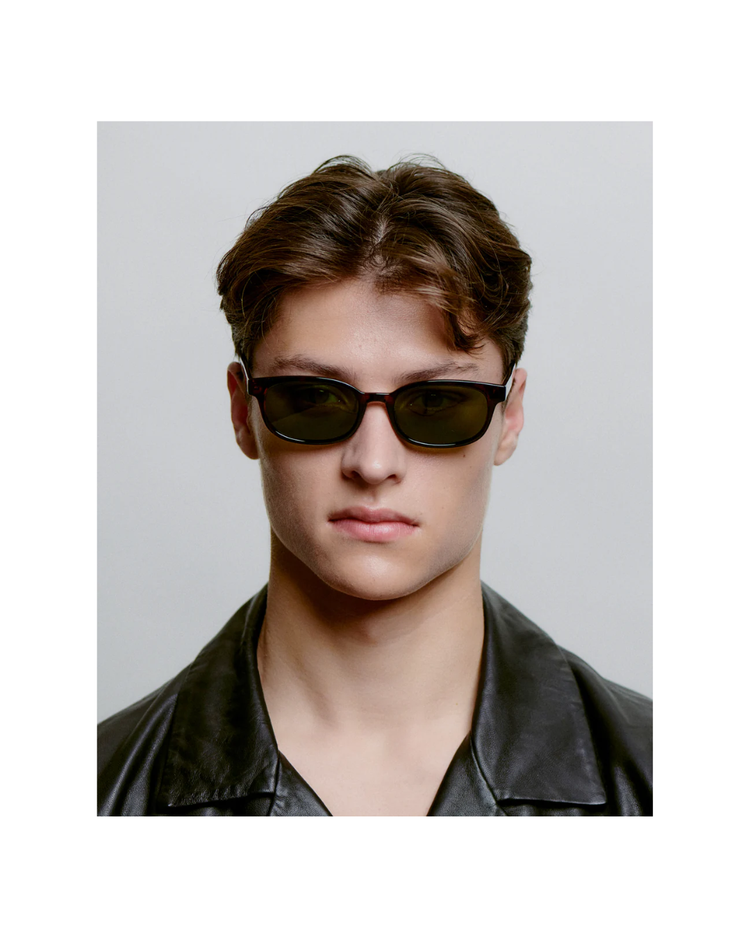 Charlie Demi Tortoise