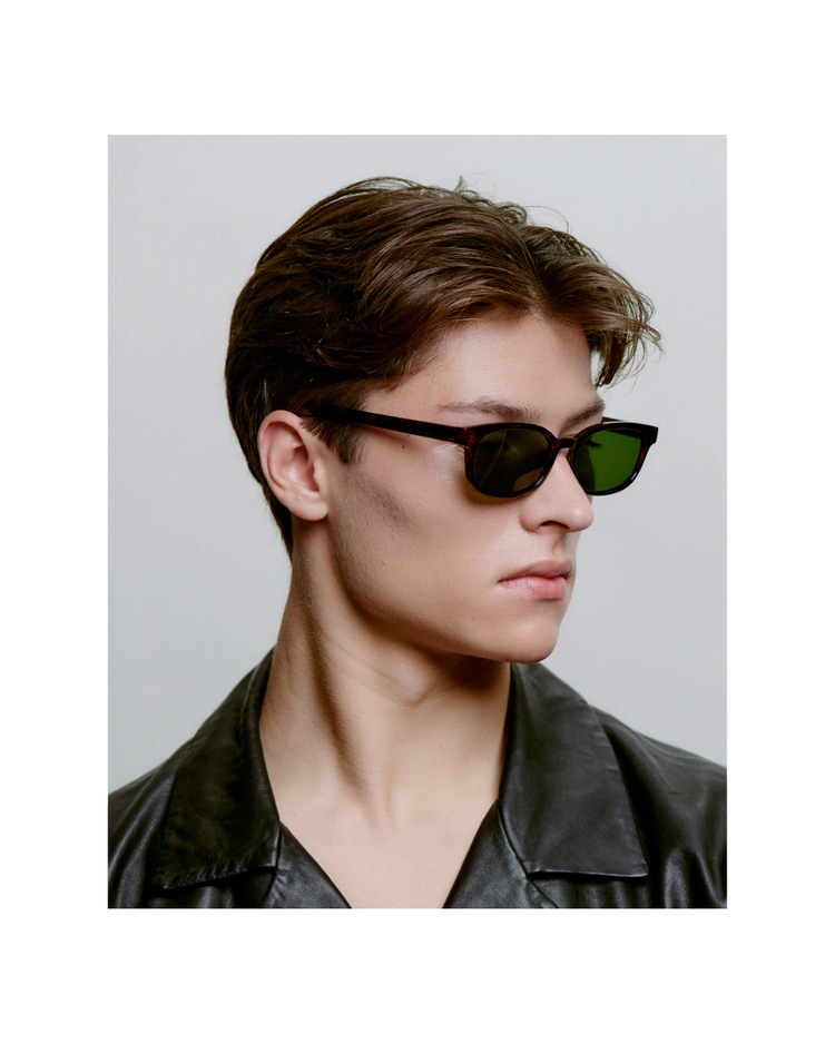 Charlie Demi Tortoise