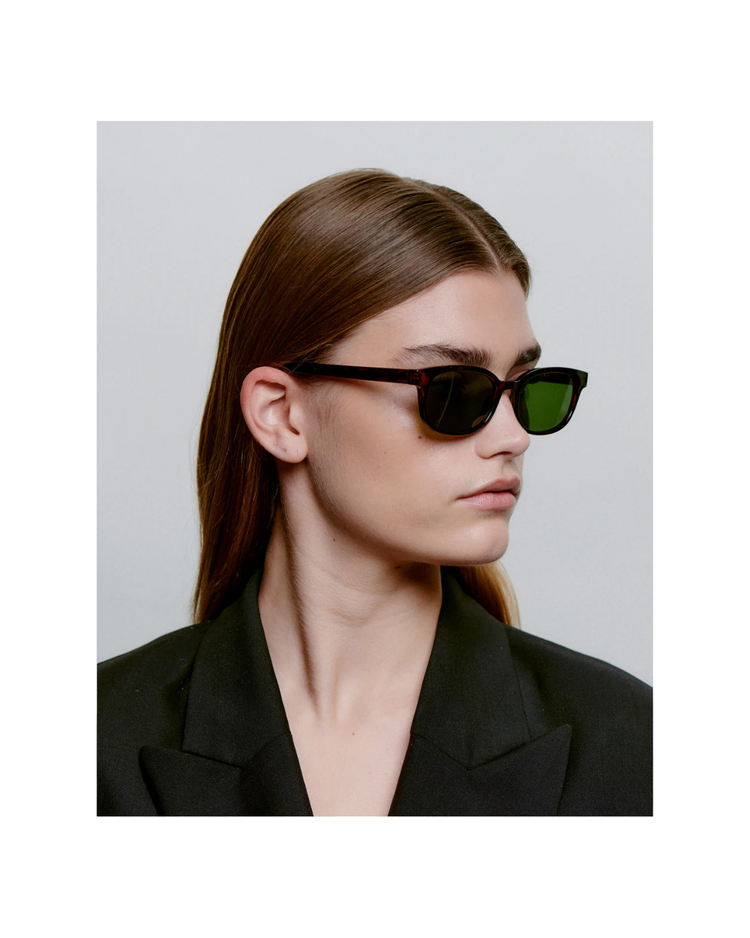 Charlie Demi Tortoise