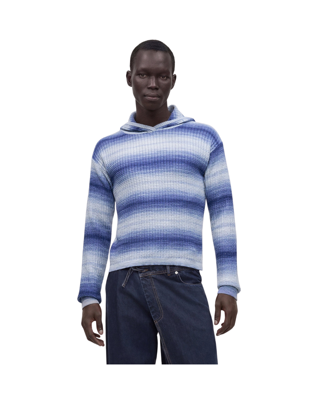 Faded Pond Hoody