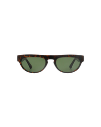 Jake Demi Tortoise