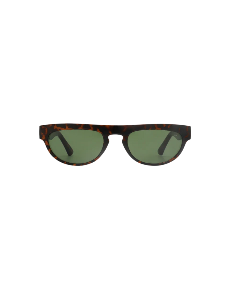 Jake Demi Tortoise