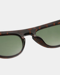 Jake Demi Tortoise
