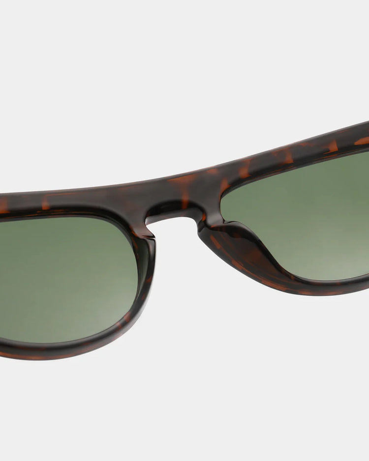 Jake Demi Tortoise