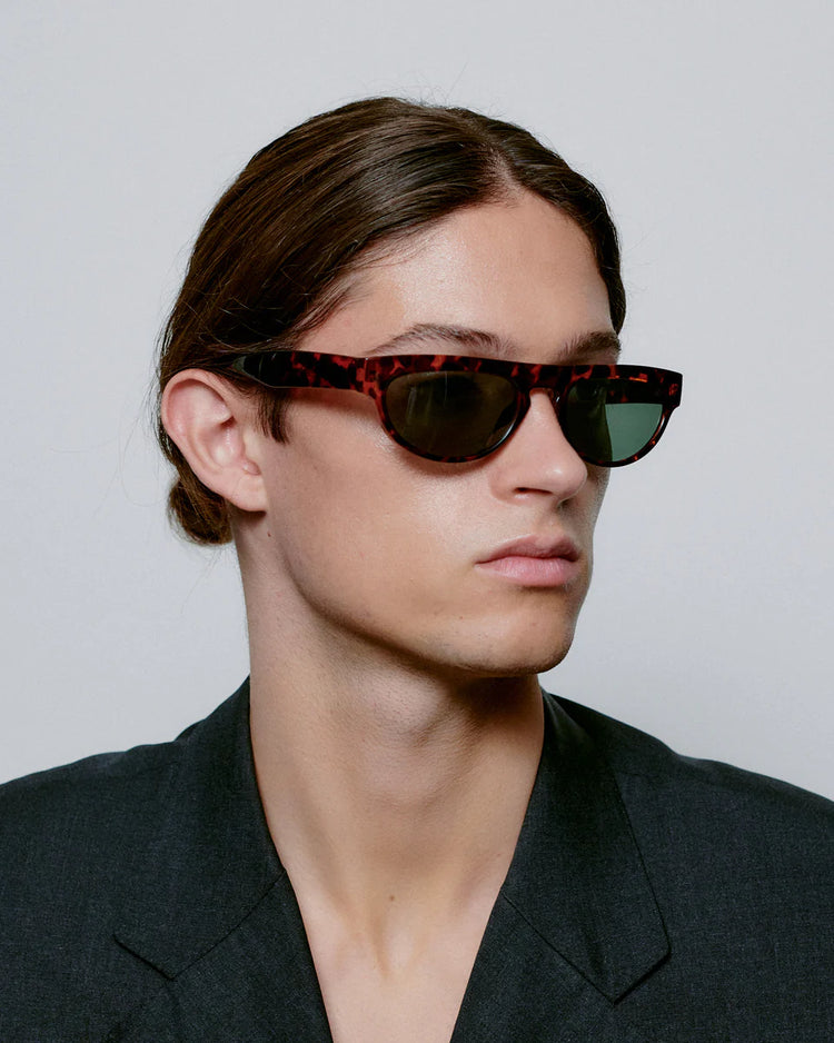 Jake Demi Tortoise