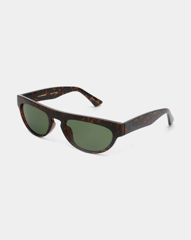 Jake Demi Tortoise