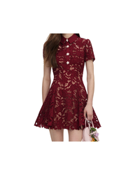 Burgundy Lace Mini Dress