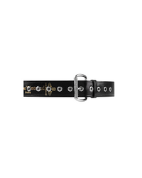 Alex Belt