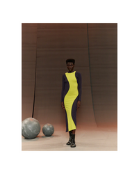 Vertigo Dress