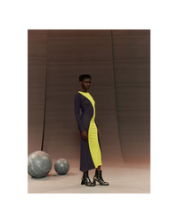 Vertigo Dress