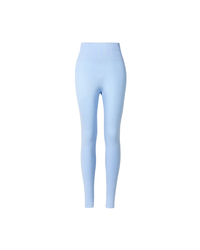 Seamless Thermal Legging
