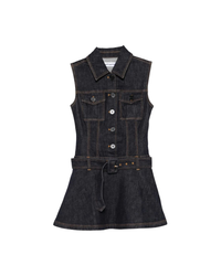 Indigo Denim Flared Mini Dress