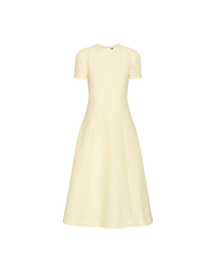 Jacquard Flared Dress