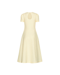 Jacquard Flared Dress