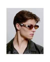 Bella Matte Brown Cookie Dough