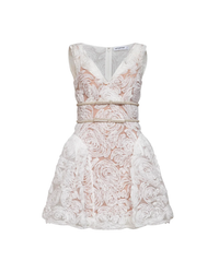 White Tulle Lace Mini Dress