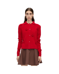 Button Up Long Sleeve Polo Knit