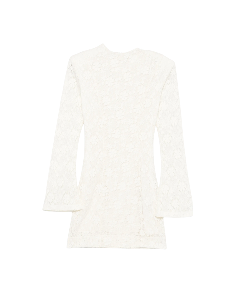 Lace Ls Mini Dress
