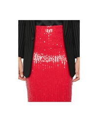 Sequins Pencil Skirt