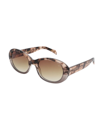 Anma Coquina / Grey Transparent