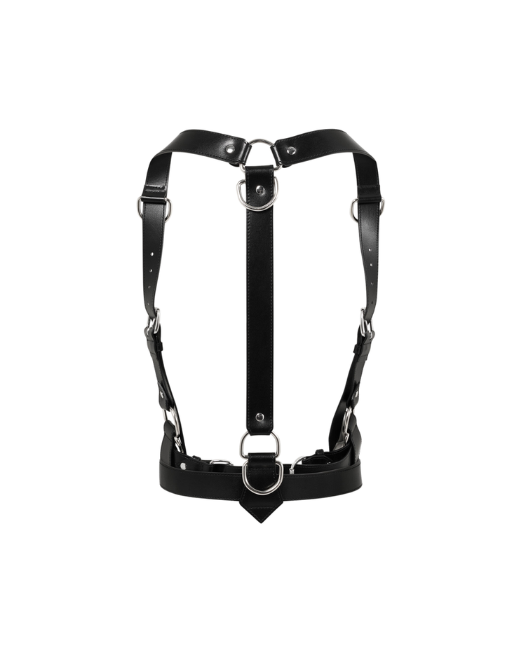 Equestrian Harness