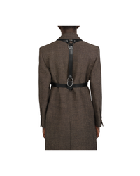 Equestrian Harness