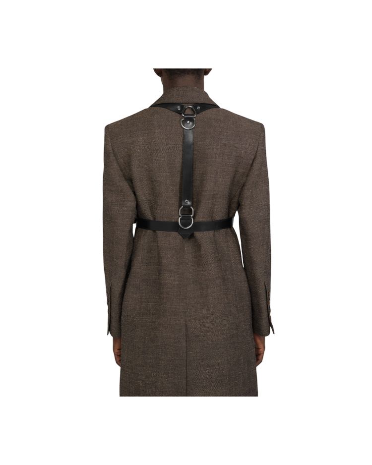 Equestrian Harness