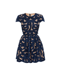 Navy Bow Embroidered Mini Dress