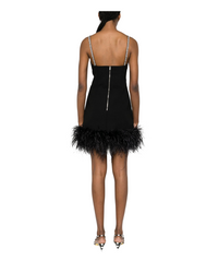 Crepe Feather Mini Dress