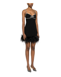 Crepe Feather Mini Dress